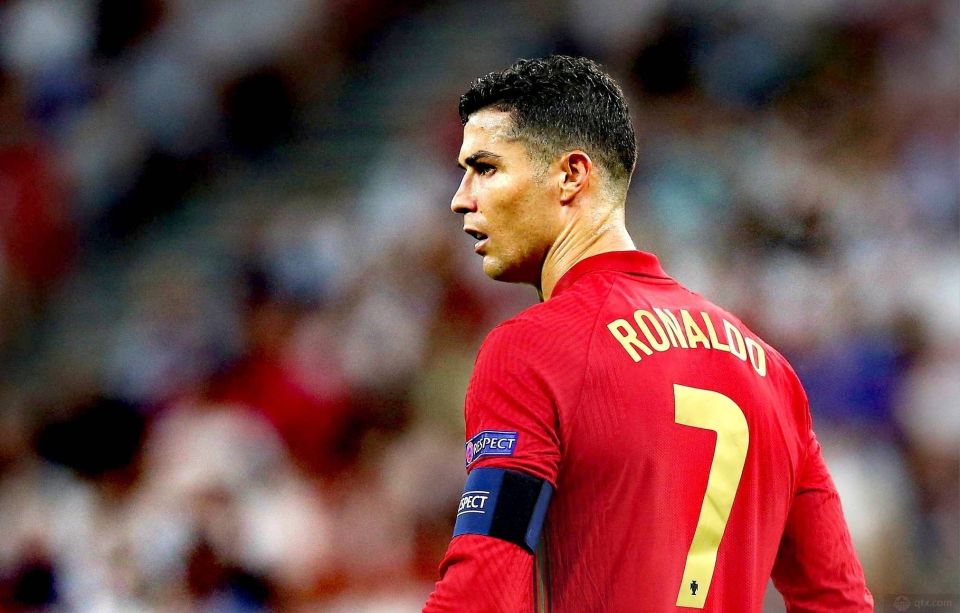 A明星布里 A明星布里