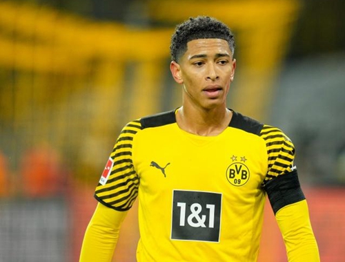 我们不妨参 我们不妨参